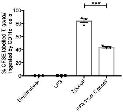 Multi-Omics Studies Demonstrate Toxoplasma gondii-Induced Metabolic Reprogramming of Murine Dendritic Cells